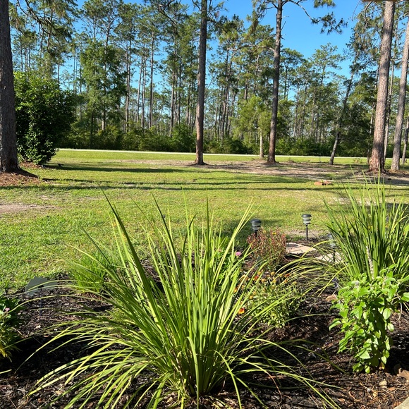 Meet your Posher, Debbie - Picture 9 of 15